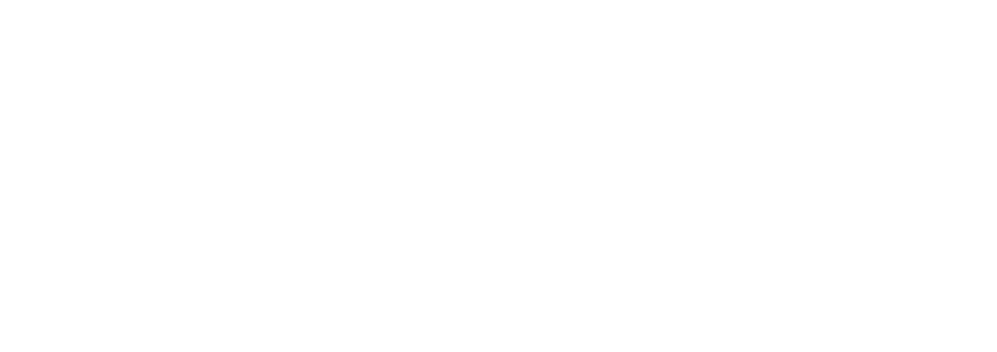 White logo on a light grey background featuring the letters API with a stylized fish design integrated into the letter A.