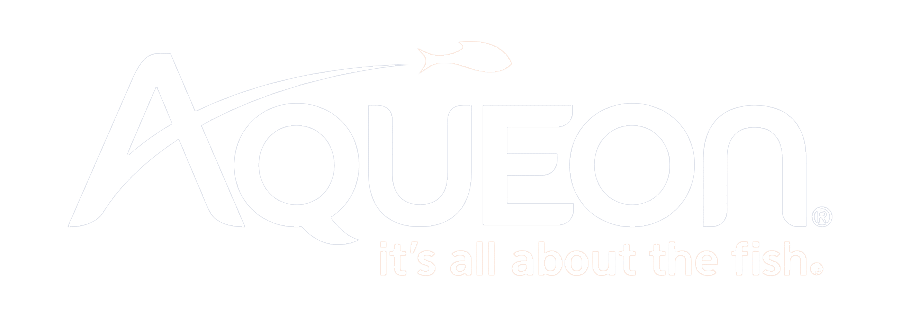 Aqueon logo with a fish graphic leaping over the letter A and the tagline its all about the fish.