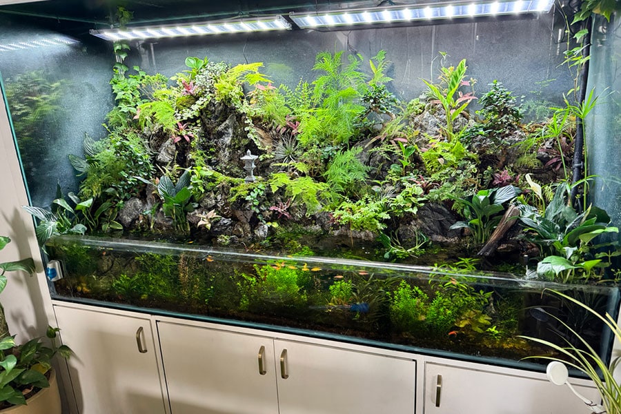 A large, well-lit paludarium with lush green plants on rocky backgrounds above water resembles a stunning bioactive terrarium. Various fish swim below, and the setup is built into a white cabinet with handles.