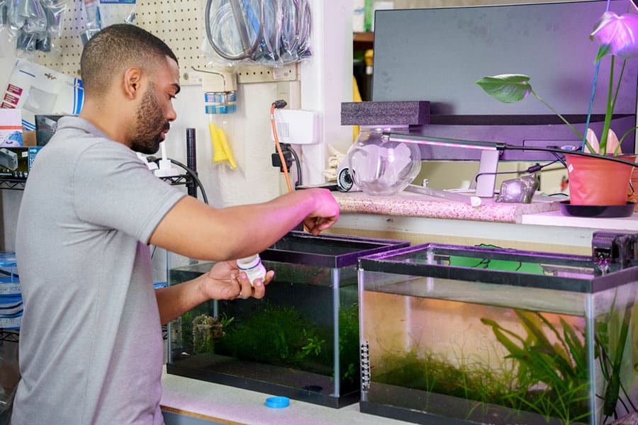 A man in a gray shirt, likely an experienced fish owner, adds chemicals from a white bottle into a fish tank in a store or workshop, surrounded by aquarium equipment and plants as part of routine aquarium maintenance.