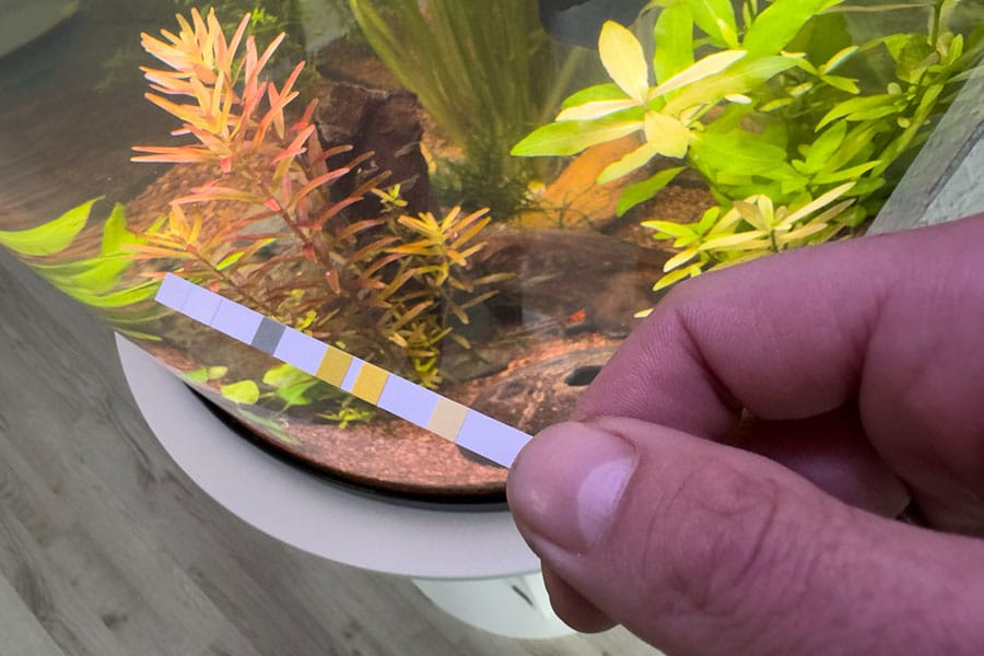 A hand holds an aquarium test strip with colored squares over a fish tank with plants, checking the water quality—an essential step in aquarium water testing for every responsible fish owner.