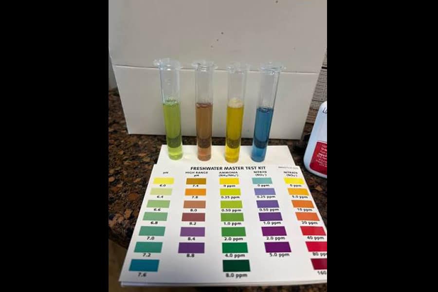 Five test tubes with different colored liquids sit on a chart labeled Freshwater Master Test Kit, used for comparing water sample results for pH, ammonia, nitrite, and nitrate levels—a vital process in aquarium water testing for any dedicated fish owner.