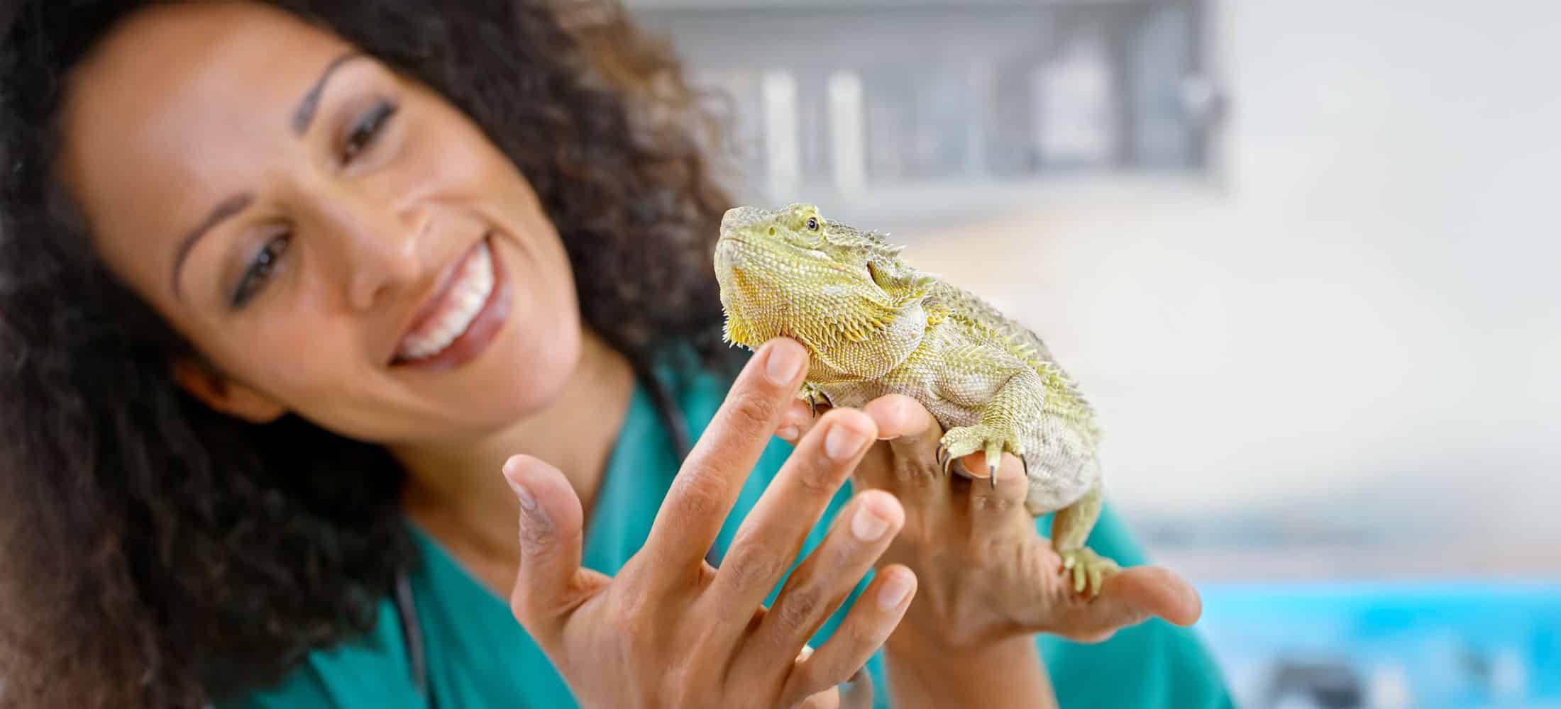 Smiling person in medical scrubs gently holding a bearded dragon lizard, with a blurred background suggesting a veterinary clinic or animal care setting. The scene reflects professional pet care and highlights compassionate pet care tips in action.