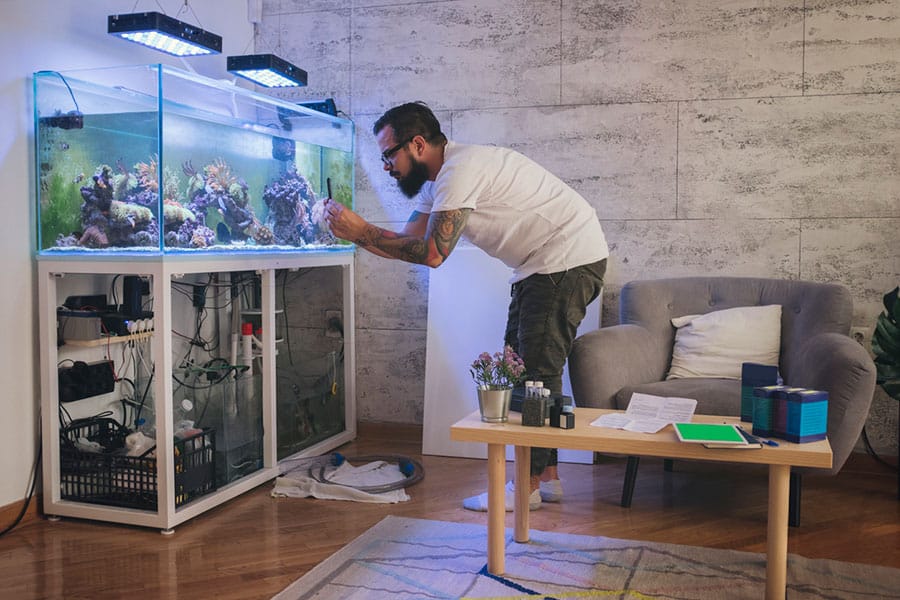 A tattooed man uses his smartphone to document his reef aquarium during a power outage.