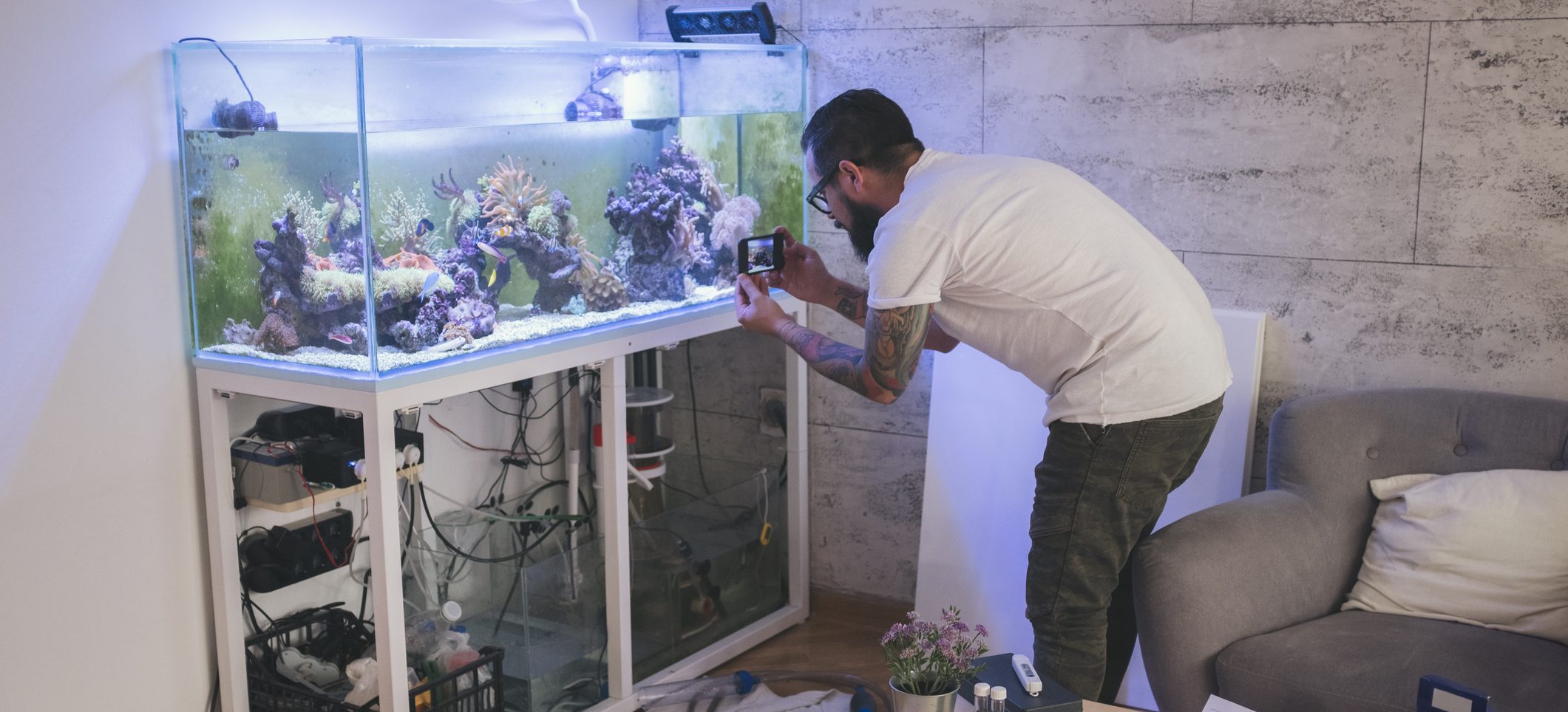 Aquarium specialist installing a reef aquarium in a living room