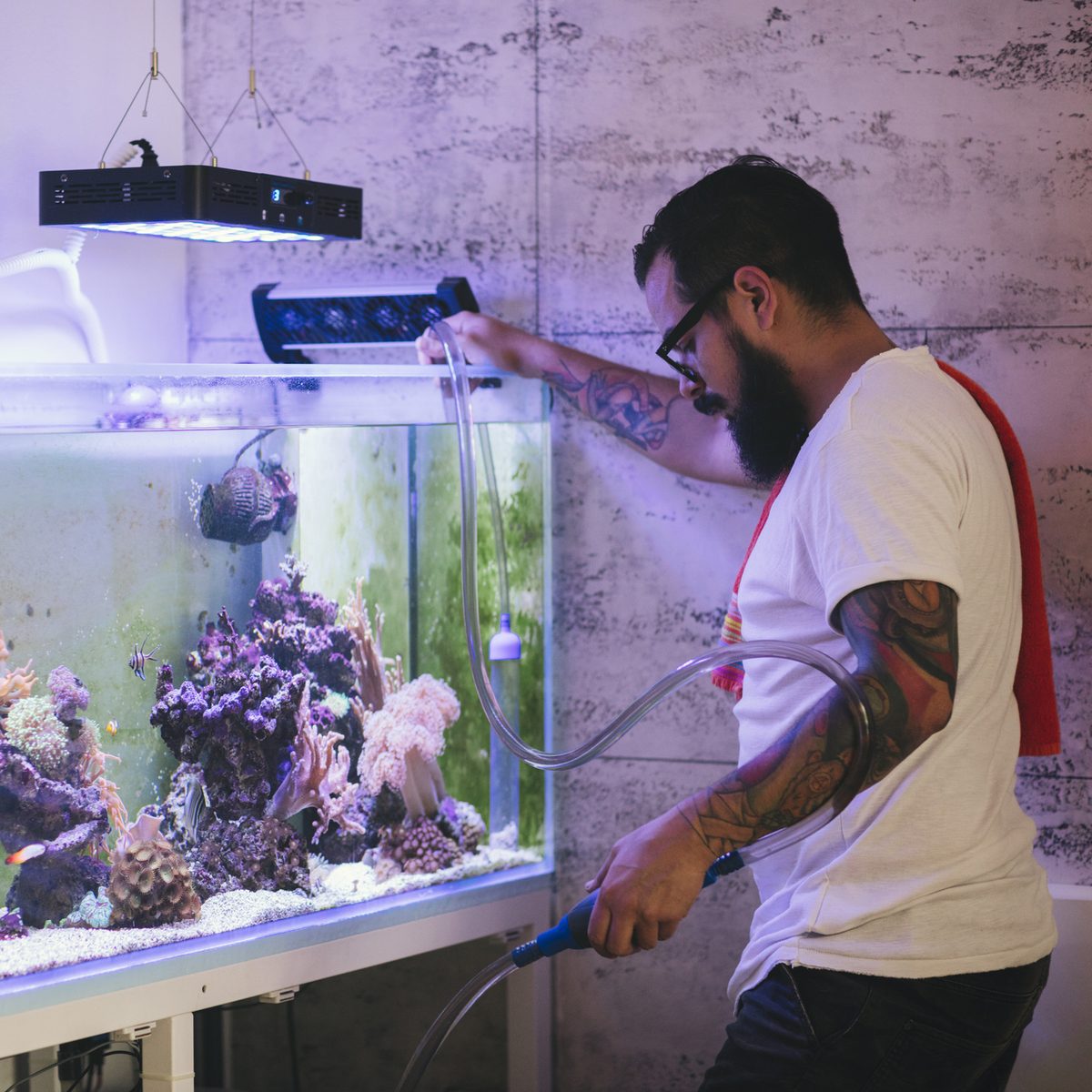Technician siphoning water from a reef aquarium during routine aquarium maintenance